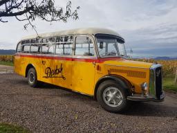 gelber Oldtimer Postbus vor blauem Himmel