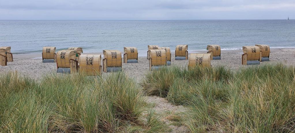 Strandkörbe am Strand mit Pflanzen