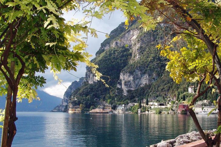 Herbstbäume vor dem Gardasee