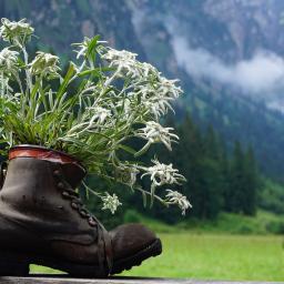 Einzelzimmer für 1 Person - Maria Alm 18.07. - 23.07.27, Bu.Nr. 462
