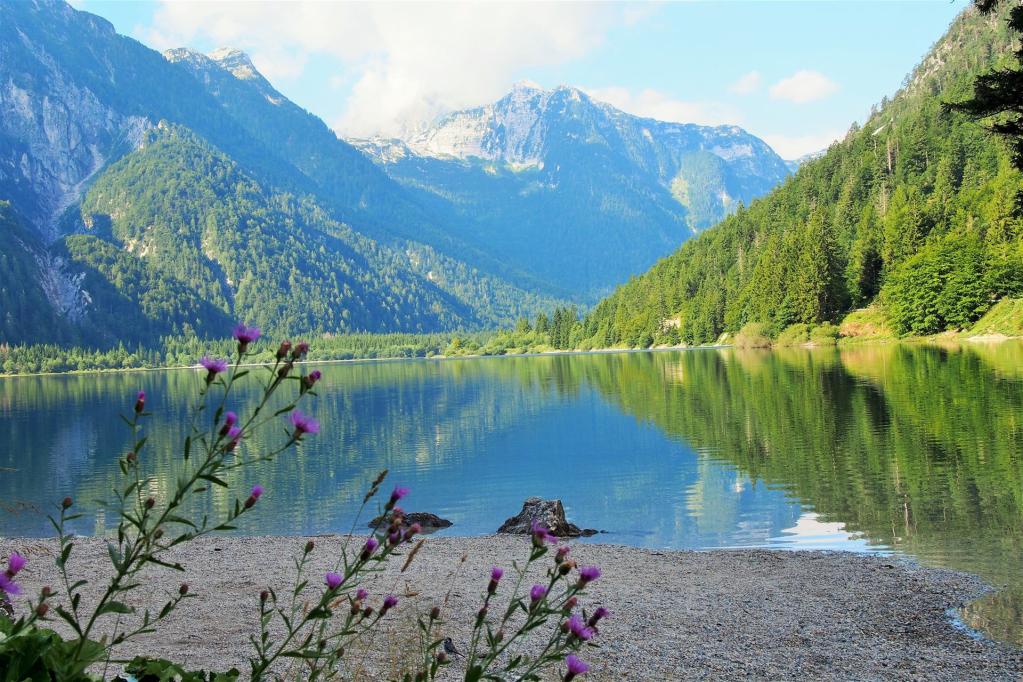Slowenien, See mit Bergen und Blume im Vordergrund