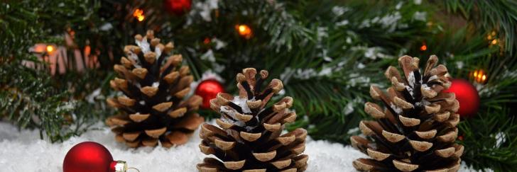 rote Kugeln, Tannenzapfen im Schnee