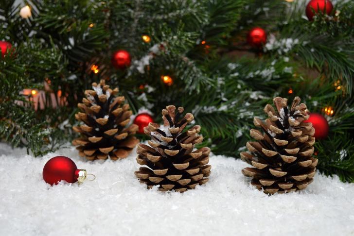 rote Kugeln, Tannenzapfen im Schnee