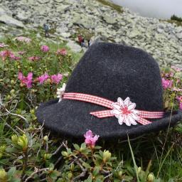 Einzelzimmer für 1 Person -  Tirol 15.07. - 20.07.26, Bu.Nr. 405